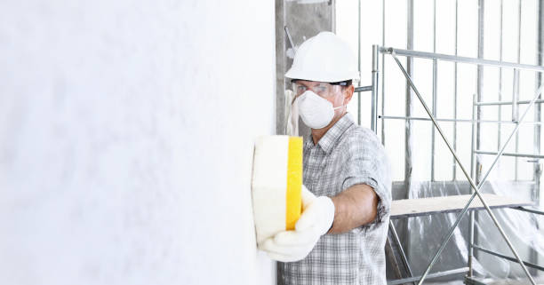 Why You Should Choose Our Mold Remediation Services in Canfield, OH