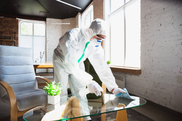 Professional Mold Removal in Canfield, OH